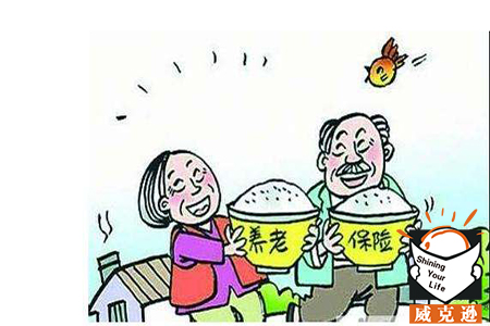 浙江社保个人需交多少？